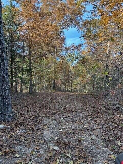 40 Acres of Recreational Land for Sale in Vanzant, Missouri