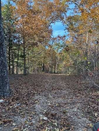 40 Acres of Recreational Land for Sale in Vanzant, Missouri