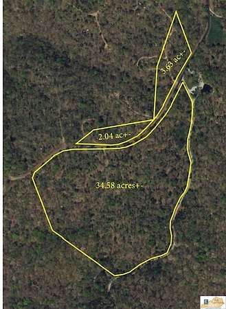 39.4 Acres of Land for Sale in Burkesville, Kentucky