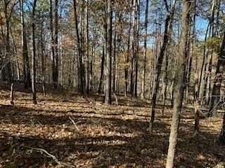 0.3 Acres of Residential Land for Sale in Bella Vista, Arkansas