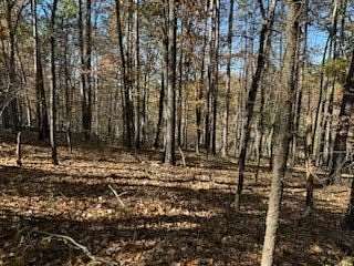0.3 Acres of Residential Land for Sale in Bella Vista, Arkansas