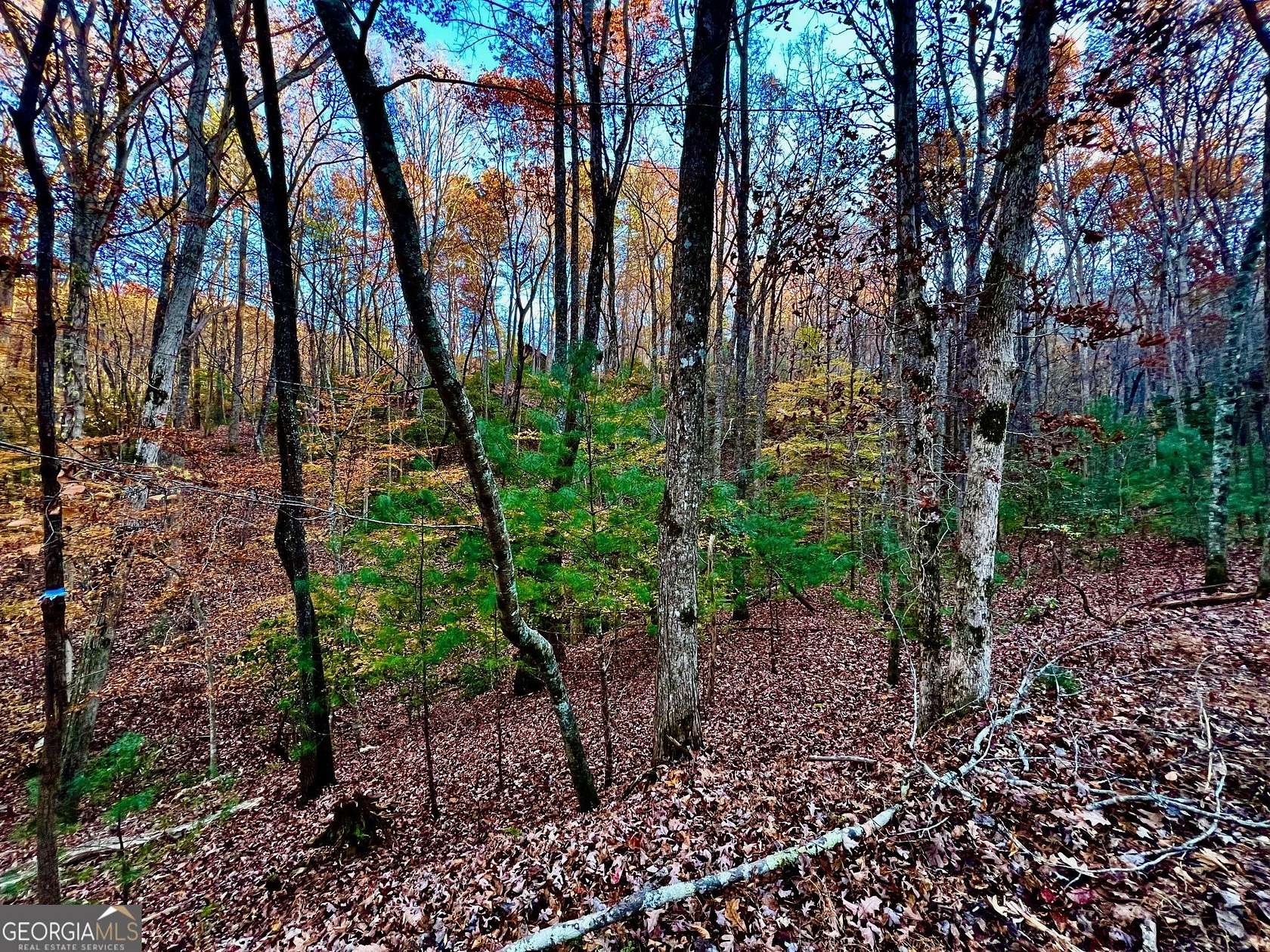 0.52 Acres of Residential Land for Sale in Ellijay, Georgia