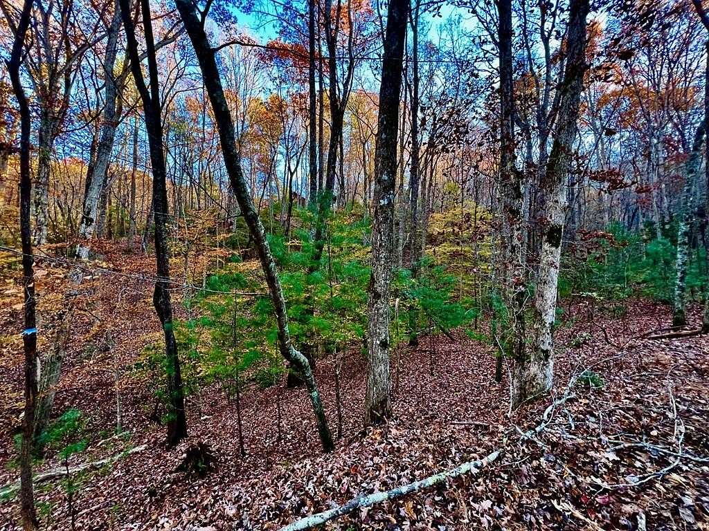 0.52 Acres of Residential Land for Sale in Ellijay, Georgia