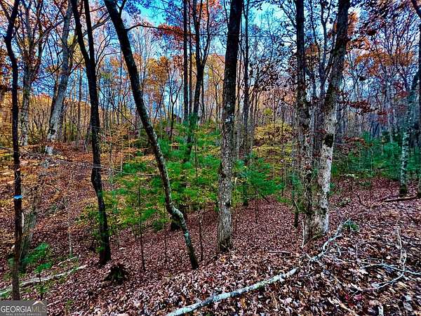 0.52 Acres of Residential Land for Sale in Ellijay, Georgia