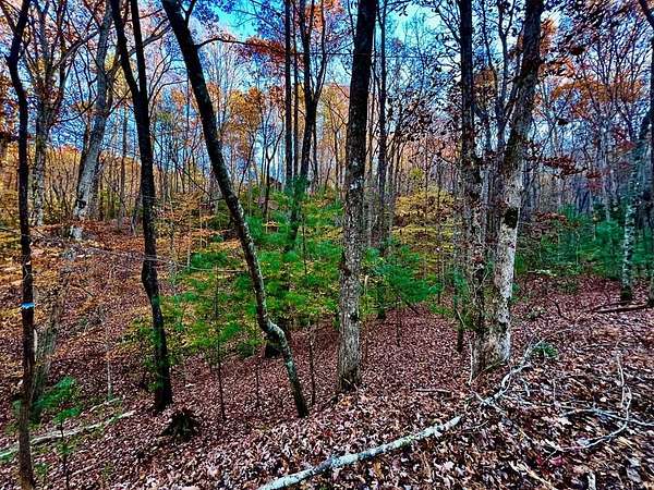 0.52 Acres of Residential Land for Sale in Ellijay, Georgia