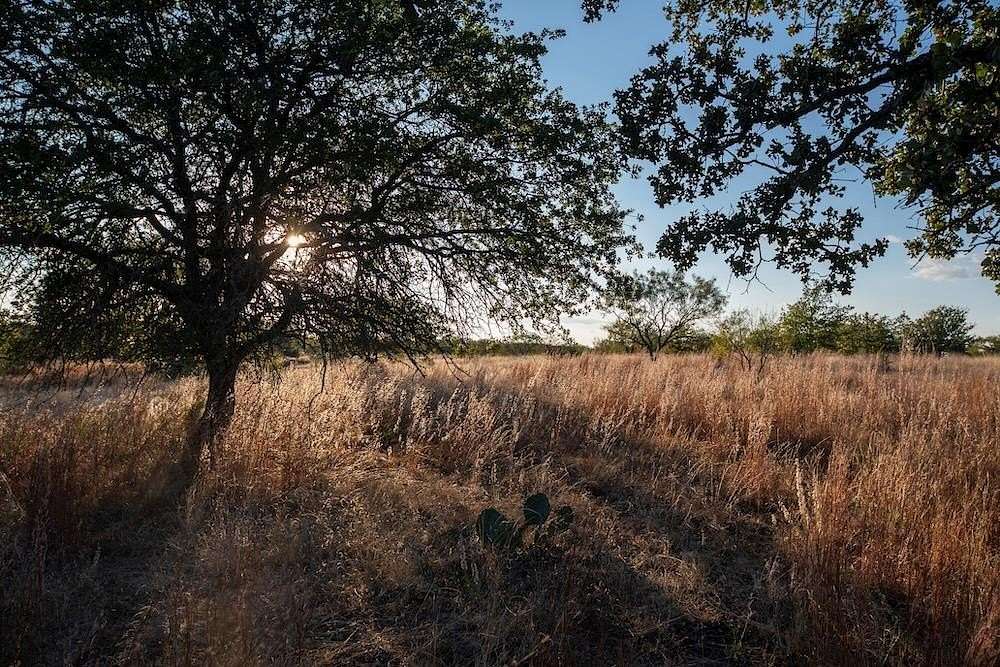 180 Acres of Land for Sale in Fredonia, Texas