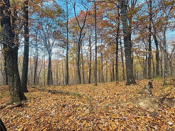 20 Acres of Recreational Land for Sale in Elkins, Arkansas