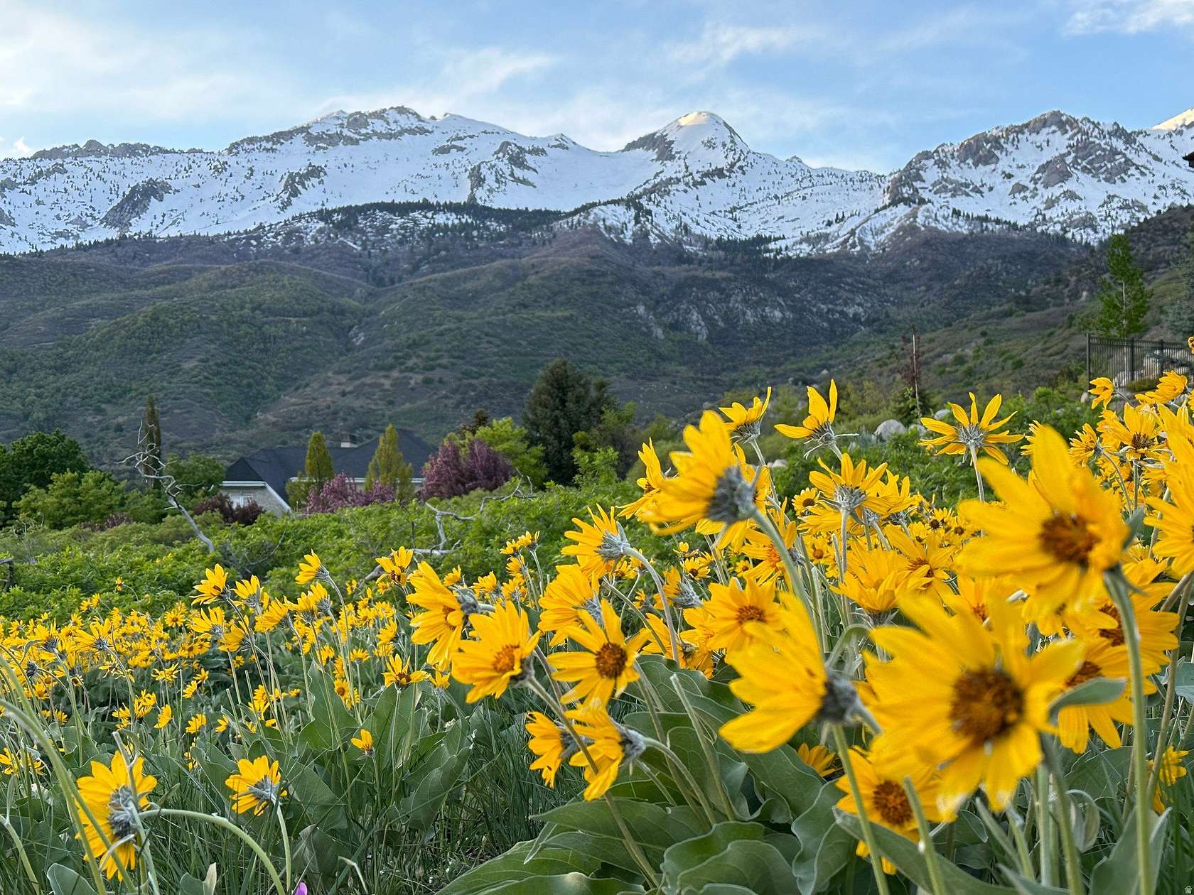 1 Acre of Residential Land for Sale in Alpine, Utah