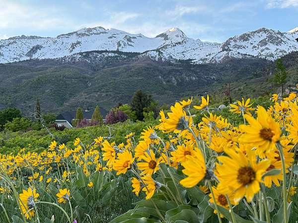 1 Acre of Residential Land for Sale in Alpine, Utah