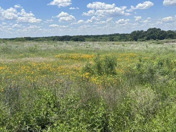 10 Acres of Land for Sale in Blanket, Texas