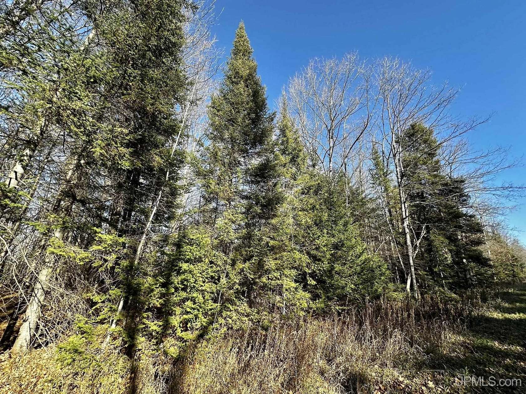 10 Acres of Recreational Land for Sale in Iron Mountain, Michigan