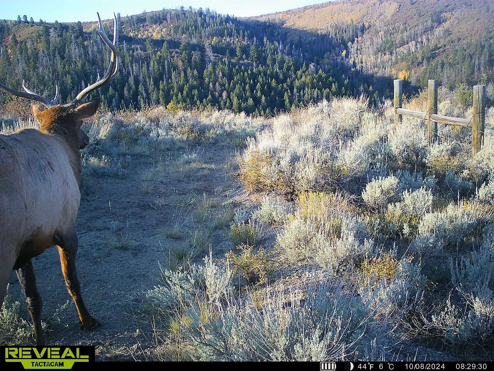 321 Acres of Recreational Land for Sale in Rifle, Colorado