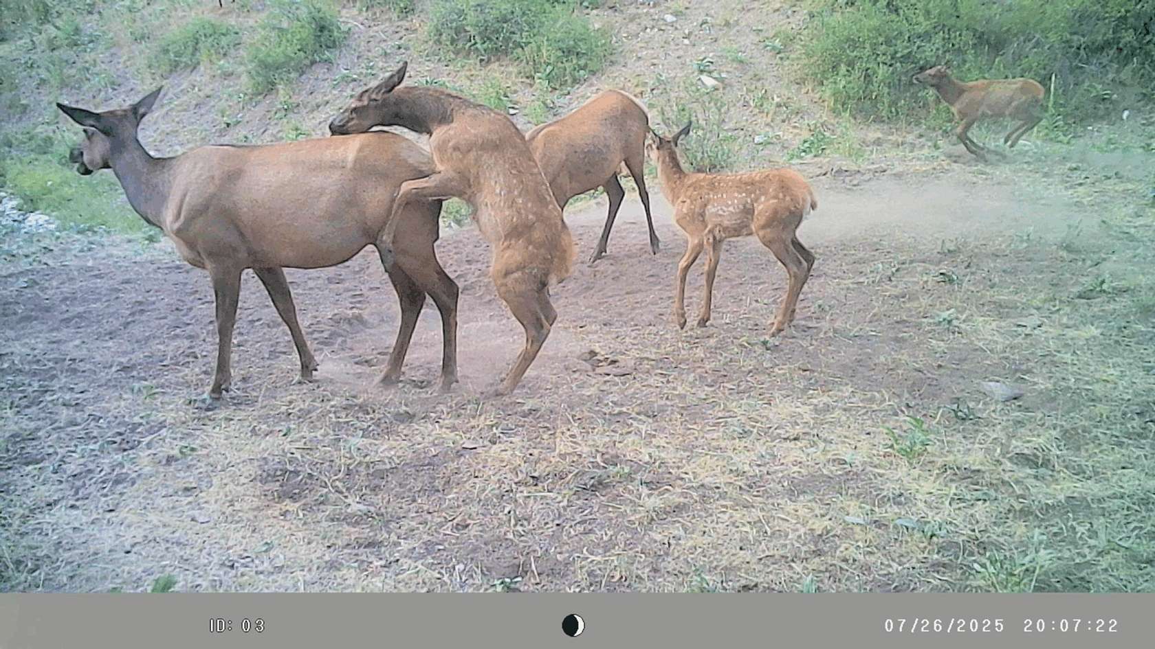 321 Acres of Recreational Land for Sale in Rifle, Colorado