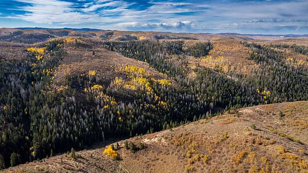 249 Acres of Recreational Land for Sale in Rifle, Colorado