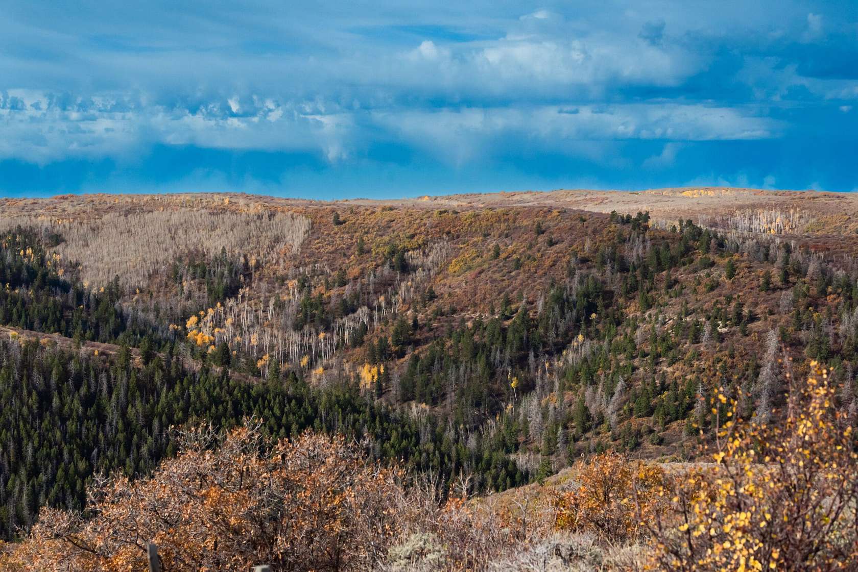 308 Acres of Recreational Land for Sale in Rifle, Colorado