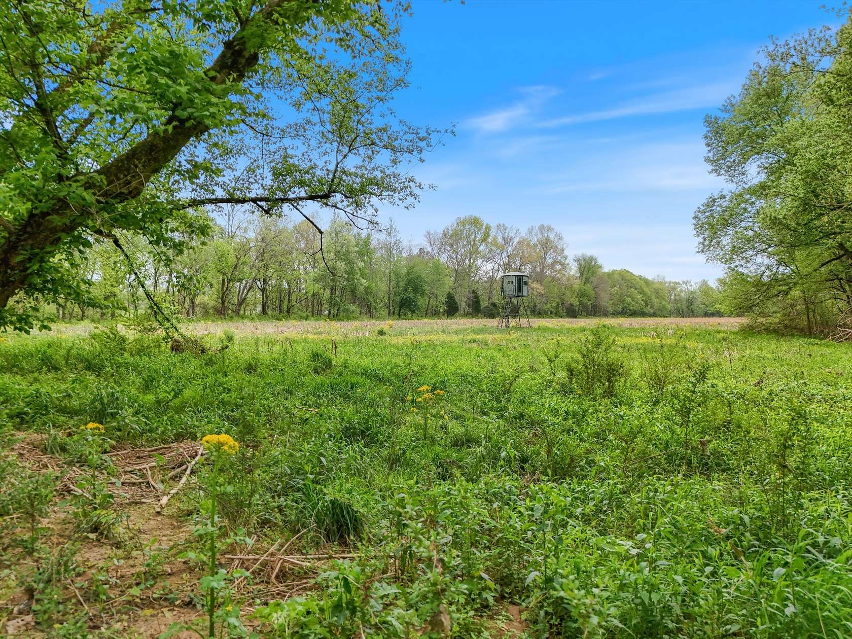 5 Acres of Land for Sale in Franklin, Tennessee