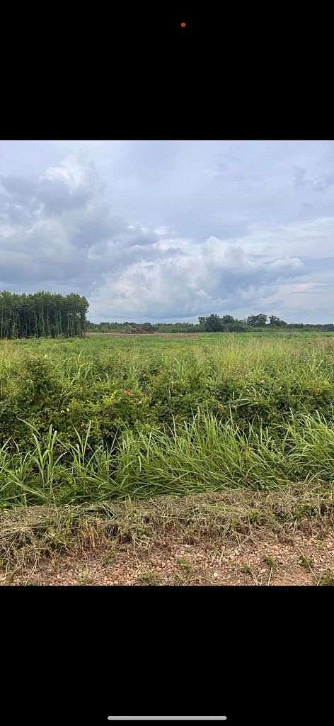 5 Acres of Residential Land for Sale in Proctor, Arkansas