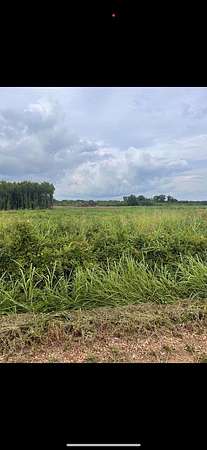 5 Acres of Residential Land for Sale in Proctor, Arkansas