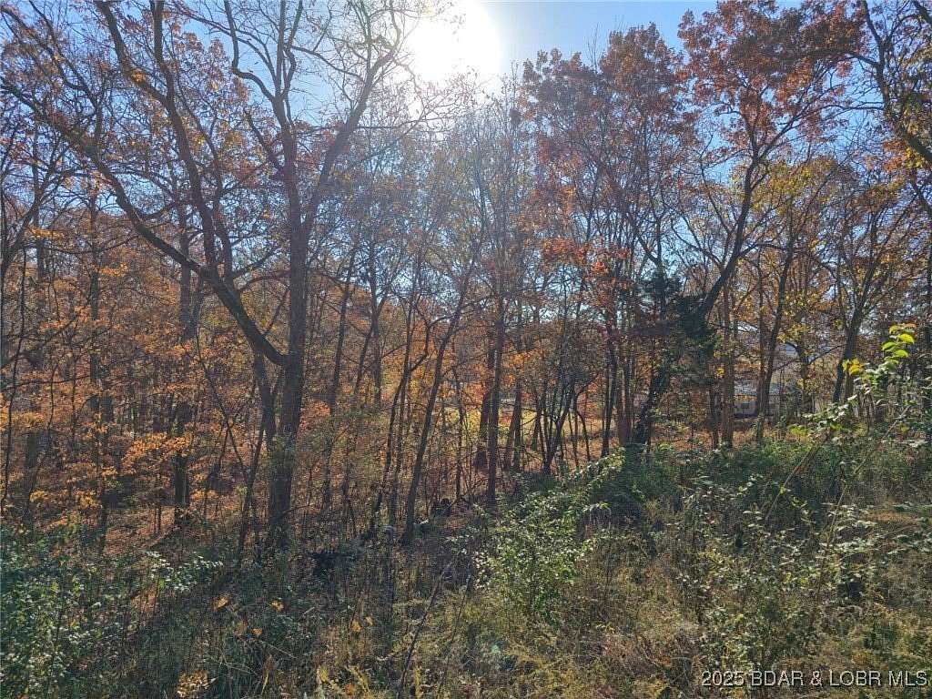 0.4 Acres of Land for Sale in Stover, Missouri