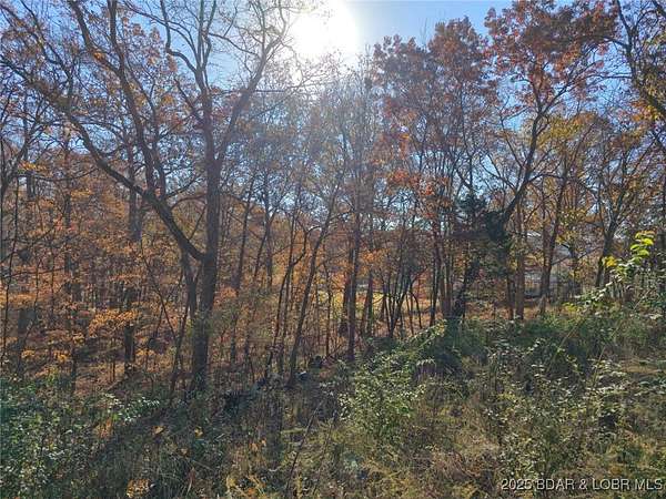 0.4 Acres of Land for Sale in Stover, Missouri