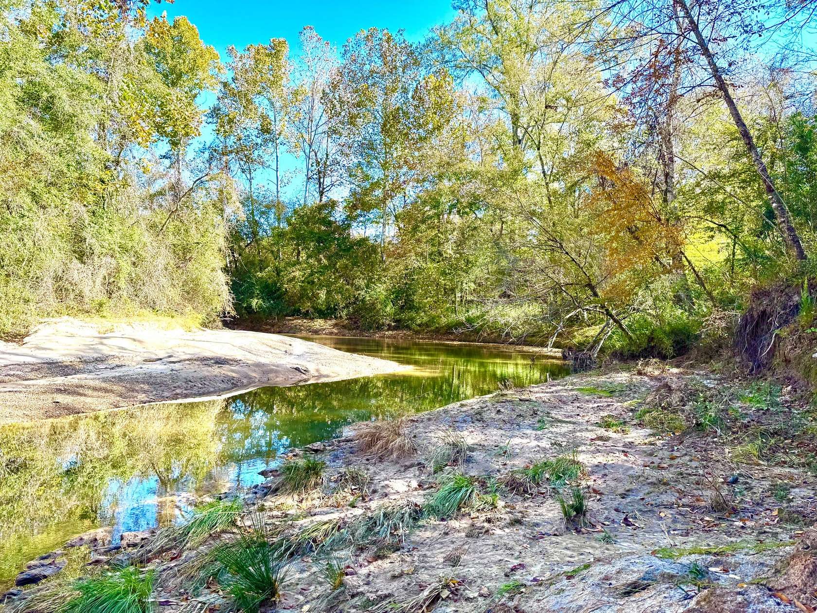 530 Acres of Recreational Land for Sale in Hazlehurst, Mississippi