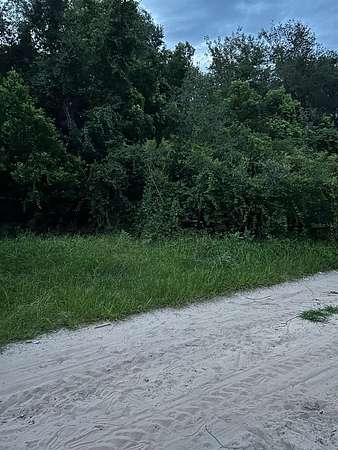 0.19 Acres of Residential Land for Sale in Umatilla, Florida