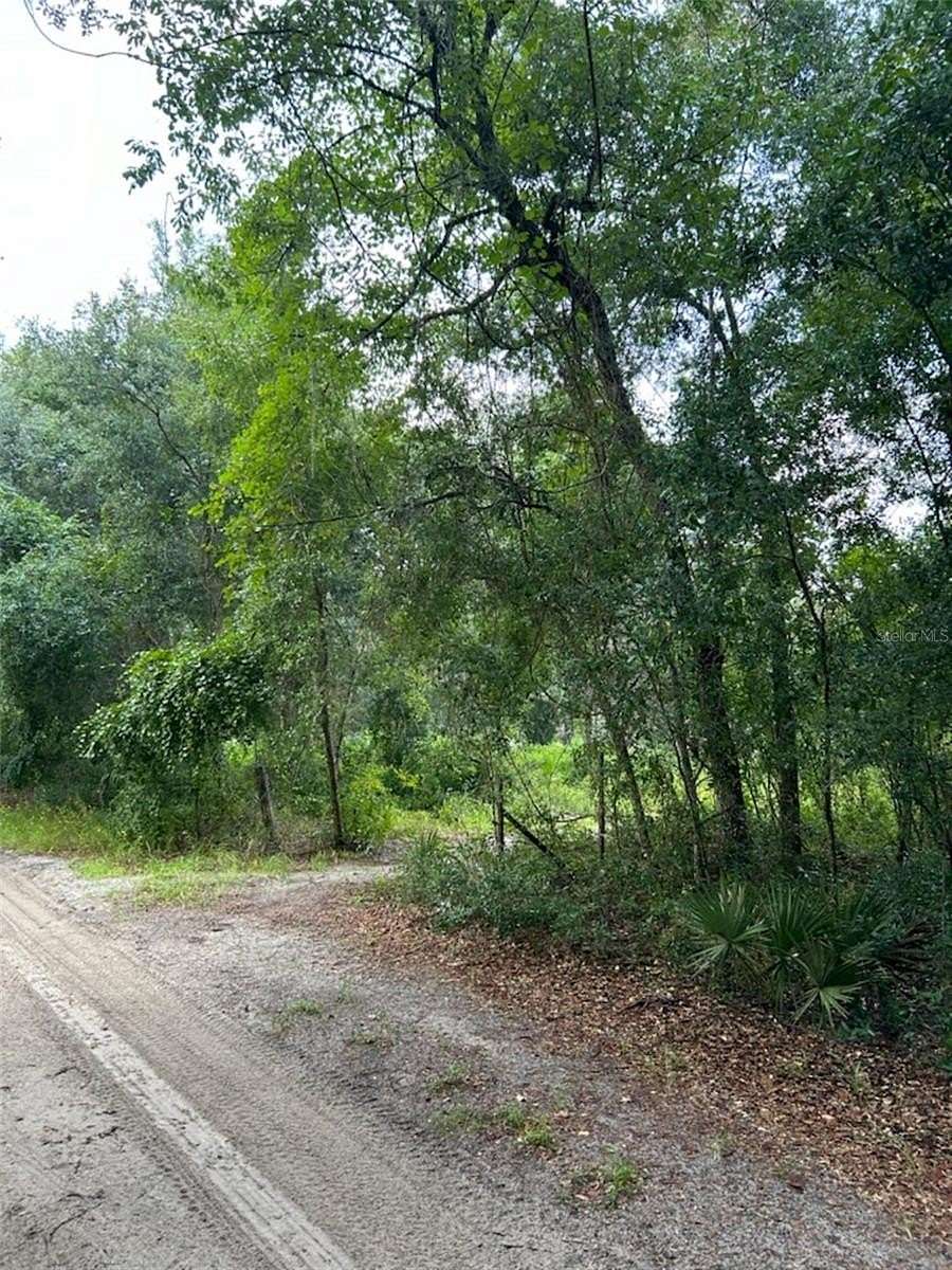0.86 Acres of Residential Land for Sale in Ocklawaha, Florida