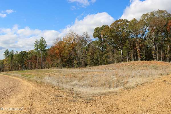2 Acres of Residential Land for Sale in Grenada, Mississippi