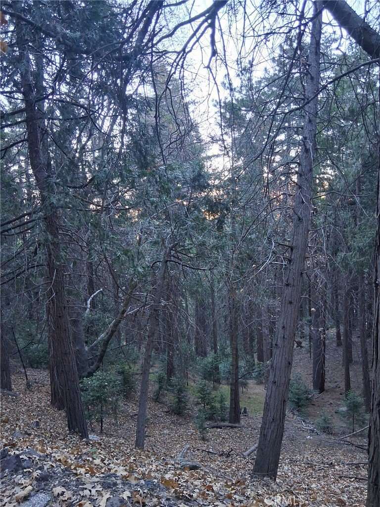 0.34 Acres of Residential Land for Sale in Cedarpines Park, California