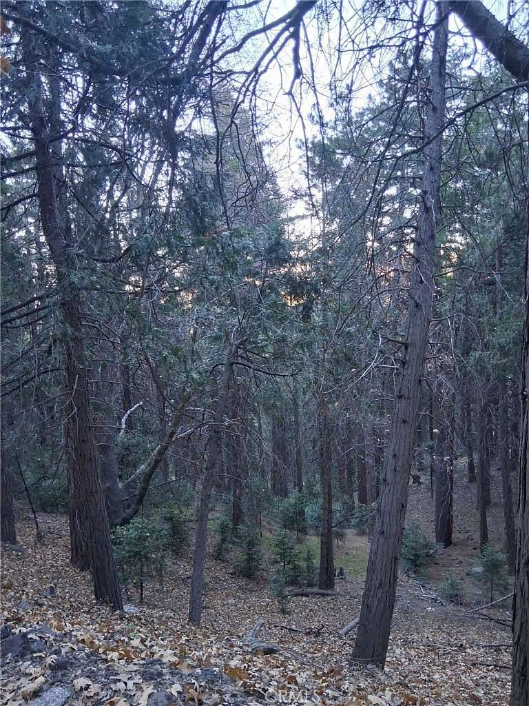 0.34 Acres of Residential Land for Sale in Cedarpines Park, California