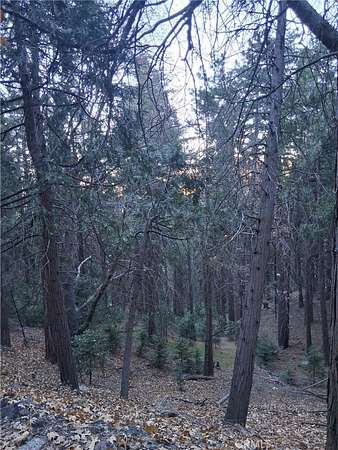 0.34 Acres of Residential Land for Sale in Cedarpines Park, California