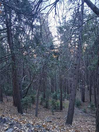 0.34 Acres of Residential Land for Sale in Cedarpines Park, California