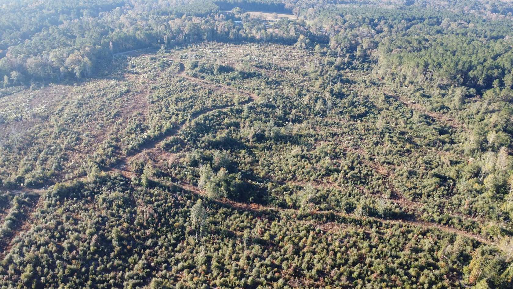 49.4 Acres of Recreational Land for Sale in Tylertown, Mississippi