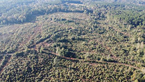 49.4 Acres of Recreational Land for Sale in Tylertown, Mississippi