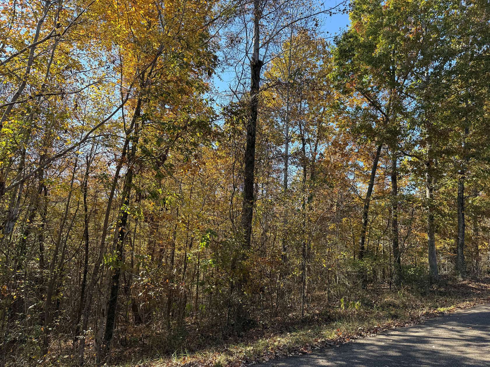 0.57 Acres of Residential Land for Sale in Savannah, Tennessee