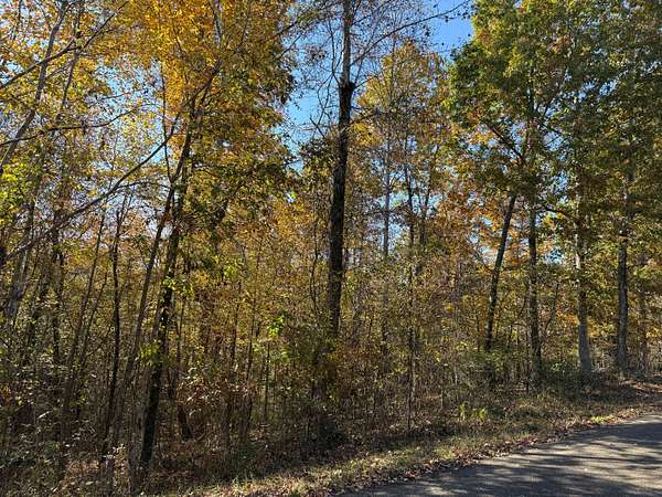 0.57 Acres of Residential Land for Sale in Savannah, Tennessee