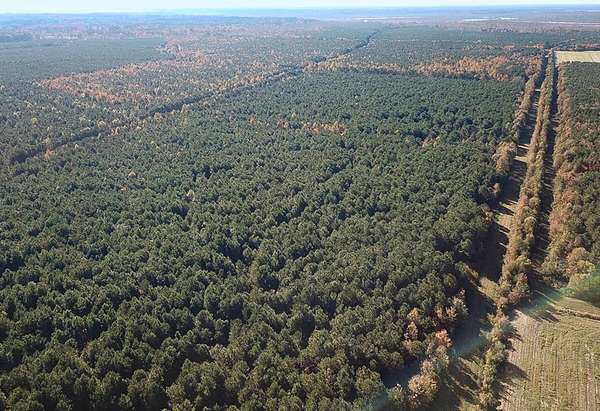 733 Acres of Land for Sale in Currituck, North Carolina