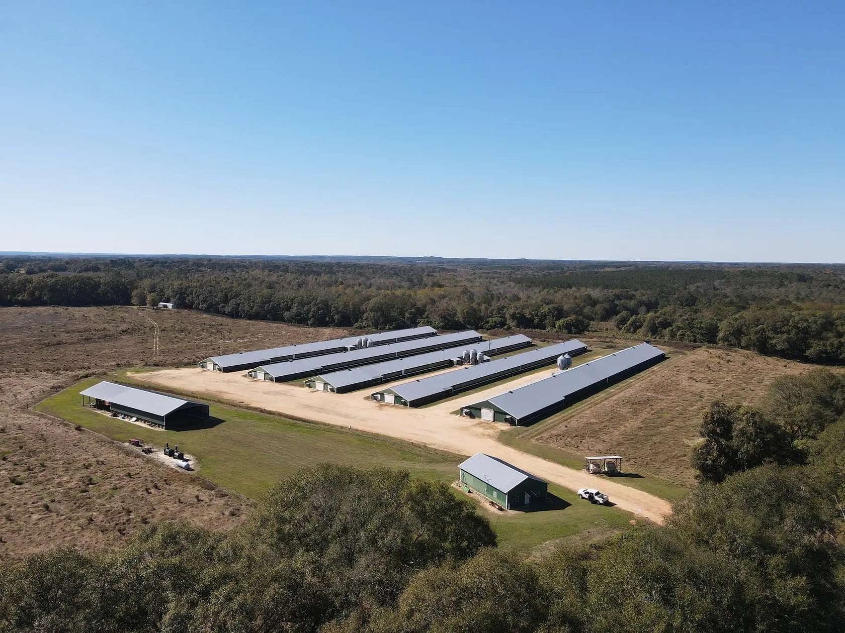 40 Acres of Agricultural Land for Sale in Brundidge, Alabama