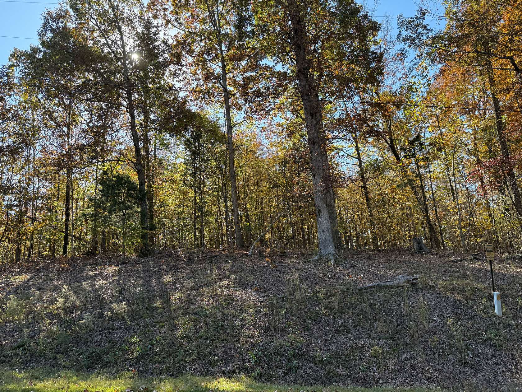 0.64 Acres of Residential Land for Sale in Savannah, Tennessee