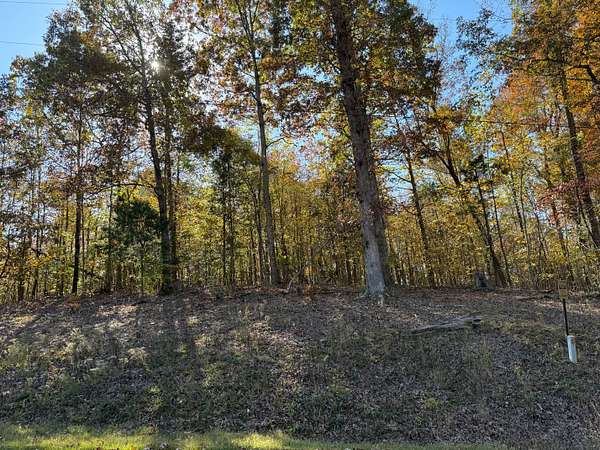 0.64 Acres of Residential Land for Sale in Savannah, Tennessee