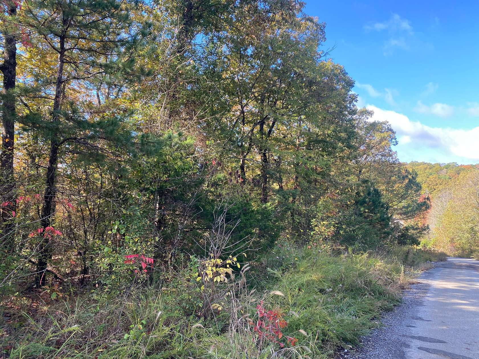 28.6 Acres of Land for Sale in Mountain View, Arkansas