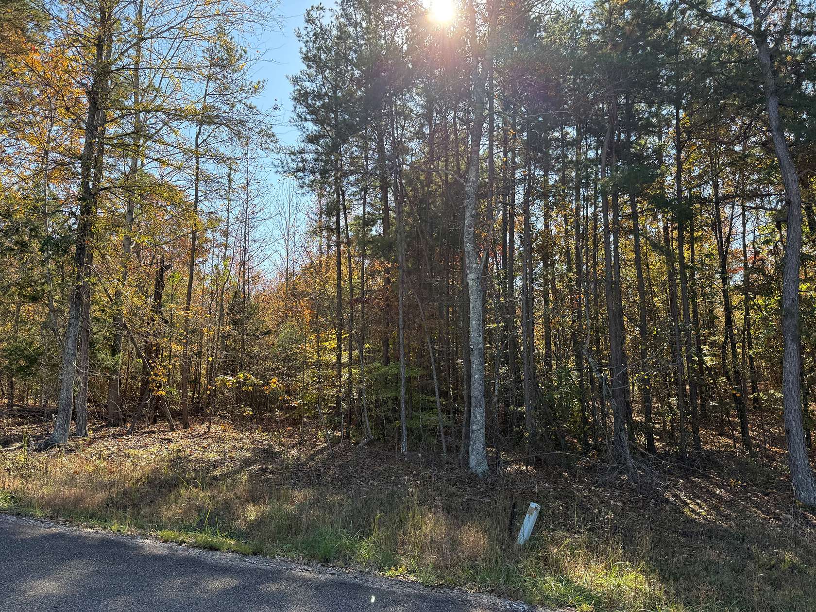 0.52 Acres of Residential Land for Sale in Savannah, Tennessee
