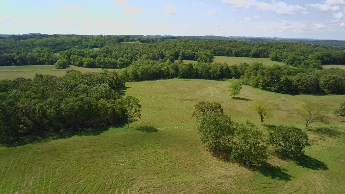 44.5 Acres of Land for Sale in Ava, Missouri