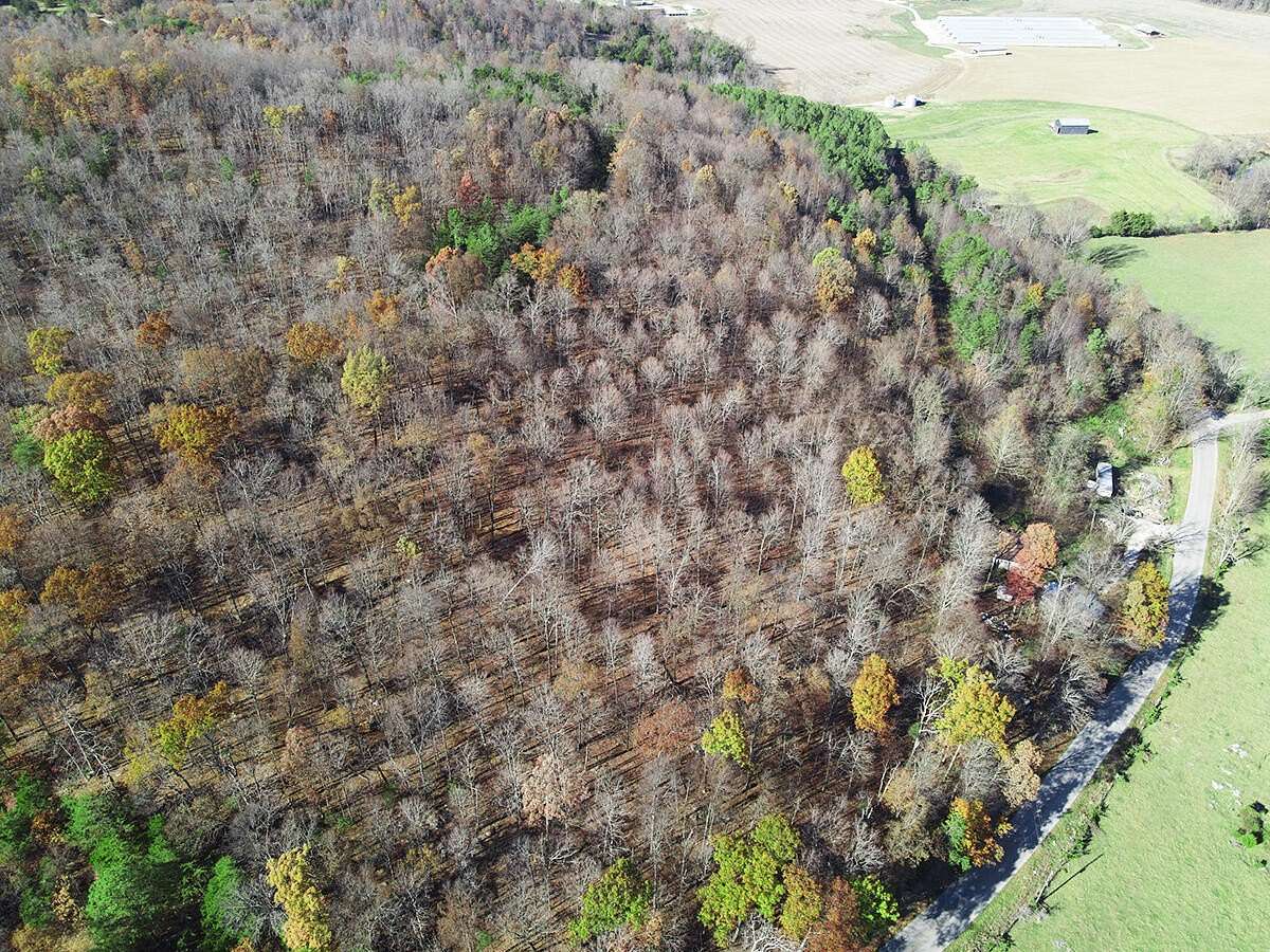 6 Acres of Land for Sale in Monticello, Kentucky