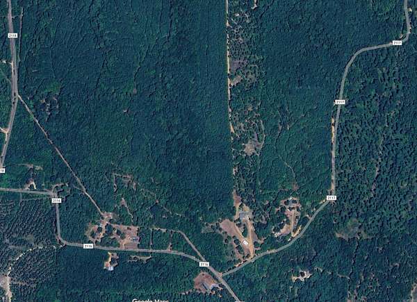 18.5 Acres of Land for Sale in Douglassville, Texas