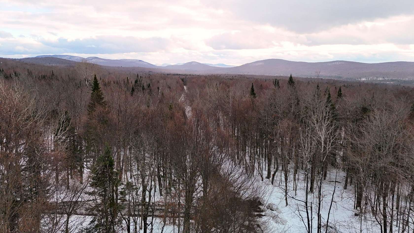 33.3 Acres of Recreational Land for Sale in Brandon Town, New York