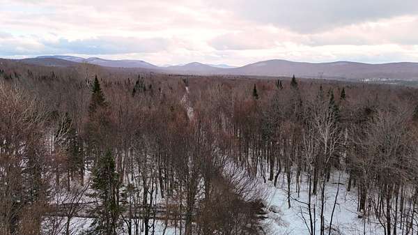 33.3 Acres of Recreational Land for Sale in Brandon Town, New York