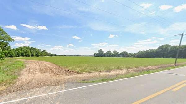 64.9 Acres of Agricultural Land for Sale in Halley, Arkansas