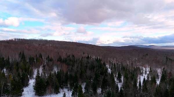 96 Acres of Recreational Land for Sale in Brandon Town, New York