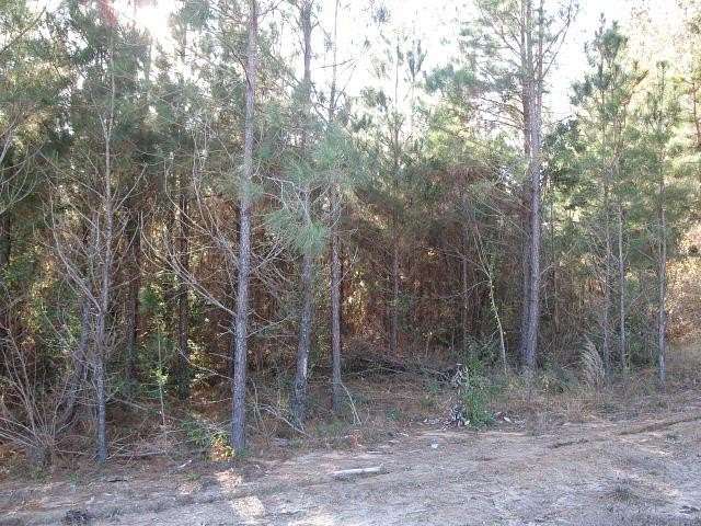 Residential Land for Sale in Ellisville, Mississippi